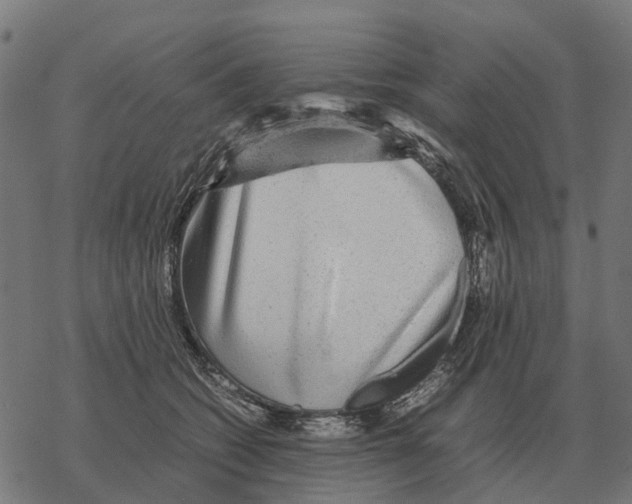 X0000067890562200605111854