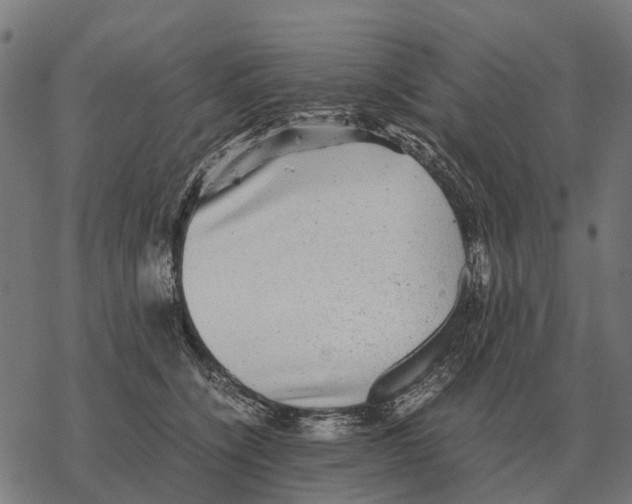 X0000067890564200605111854