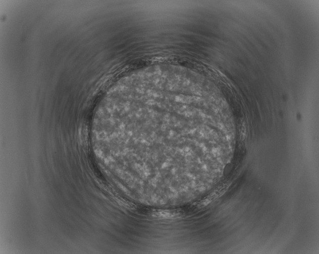 X0000067890565200605111854