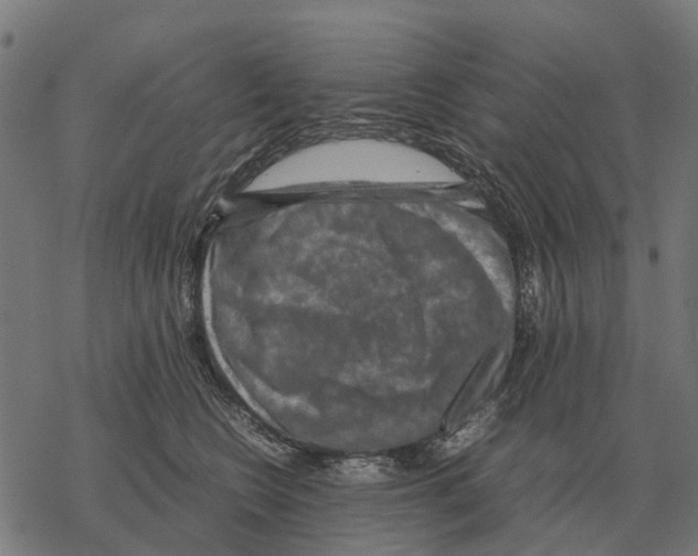 X0000067890566200605111854