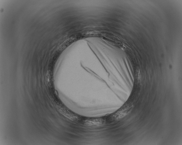 X0000067890567200605111854