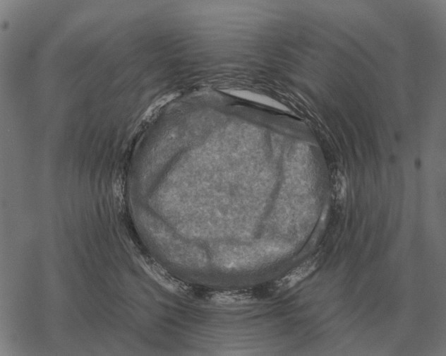 X0000067890568200605111854