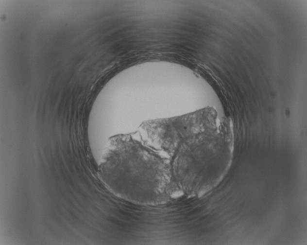 X0000067890569200605111854