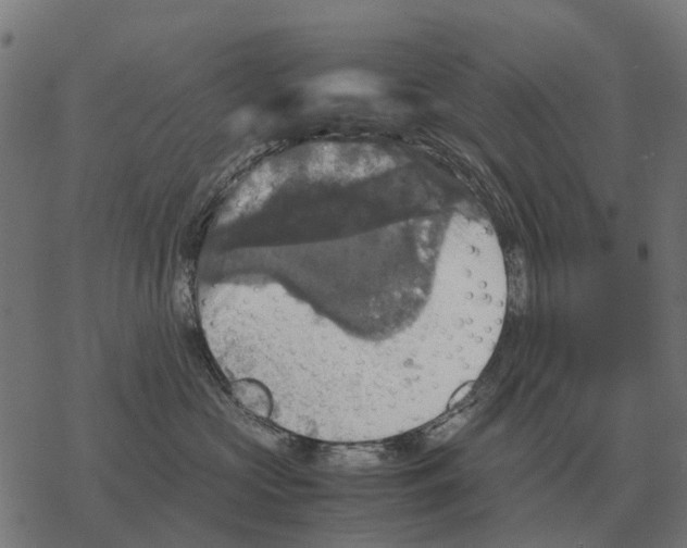 X0000067890573200605111854