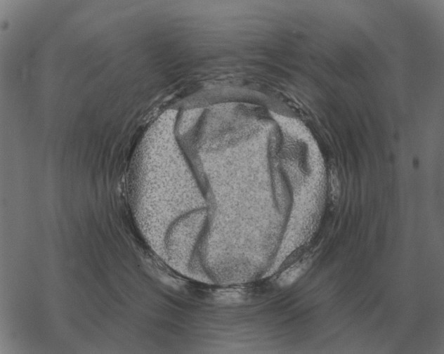 X0000067890574200605111854