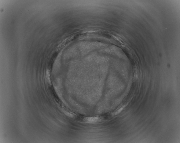 X0000067890575200605111854