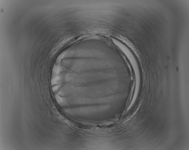 X0000067890577200605111853