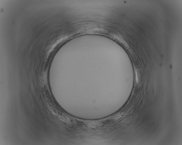 X0000067890579200605111853