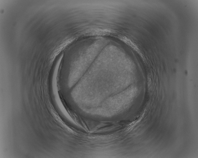 X0000067890581200605111853