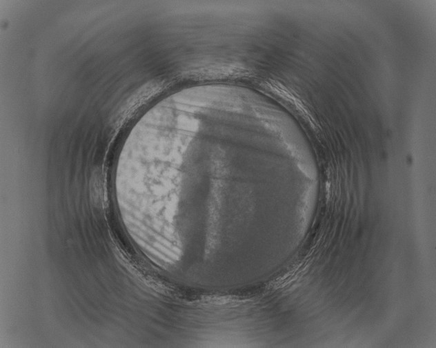 X0000067890582200605111853