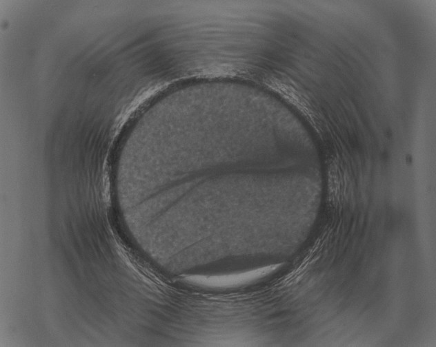 X0000067890584200605111853