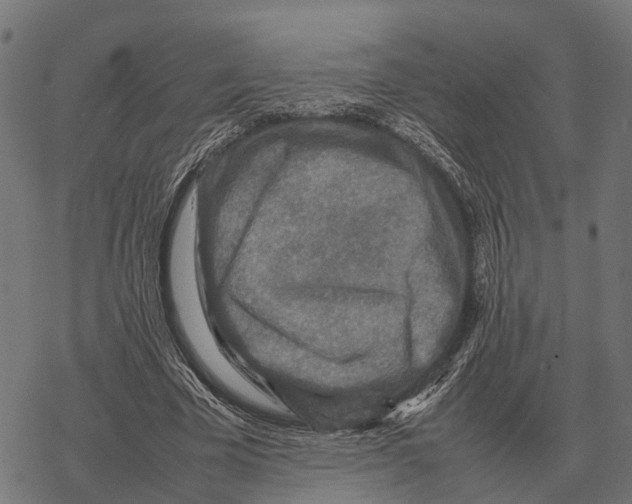 X0000067890585200605111853