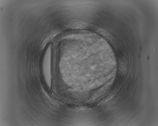 X0000067890586200605111853