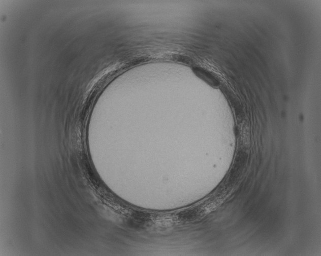 X0000067890587200605111853