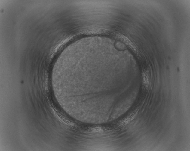 X0000067890588200605111853