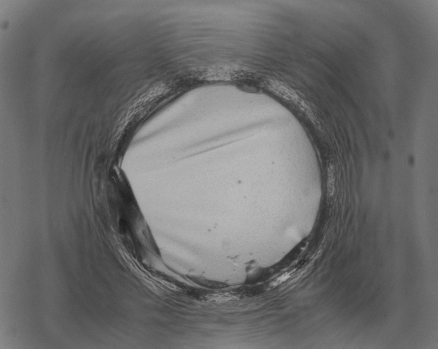 X0000067890589200605111853