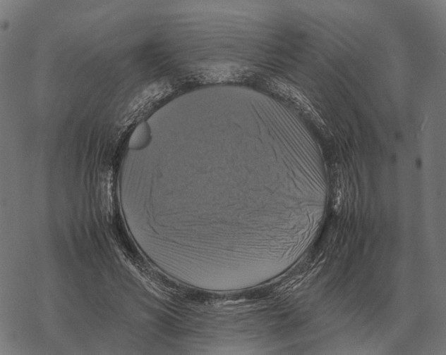 X0000067890590200605111853