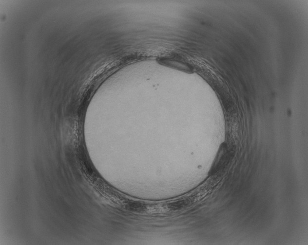 X0000067890591200605111853