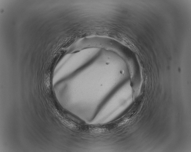 X0000067890593200605111853