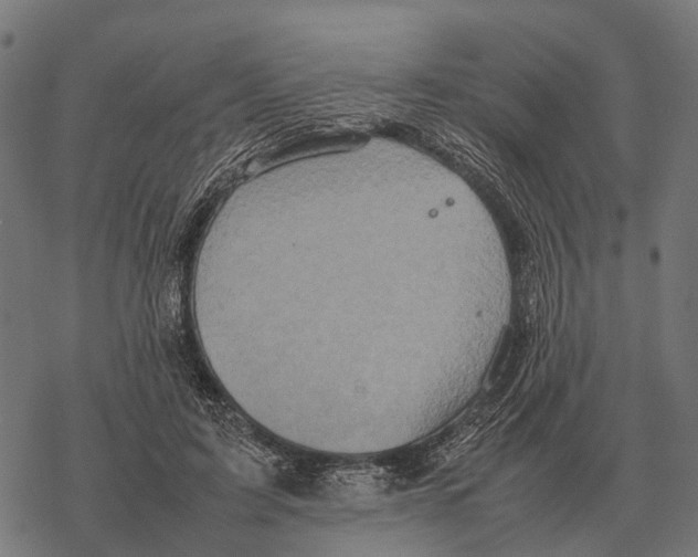 X0000067890595200605111853