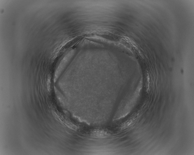 X0000067890596200605111853