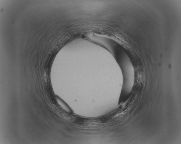 X0000067890597200605111853