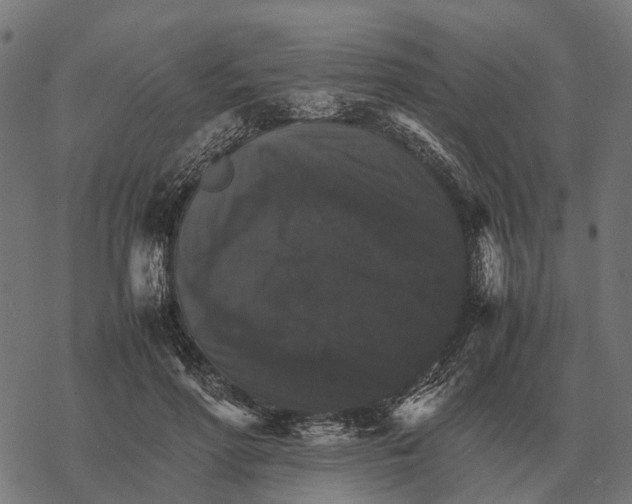 X0000067890598200605111853