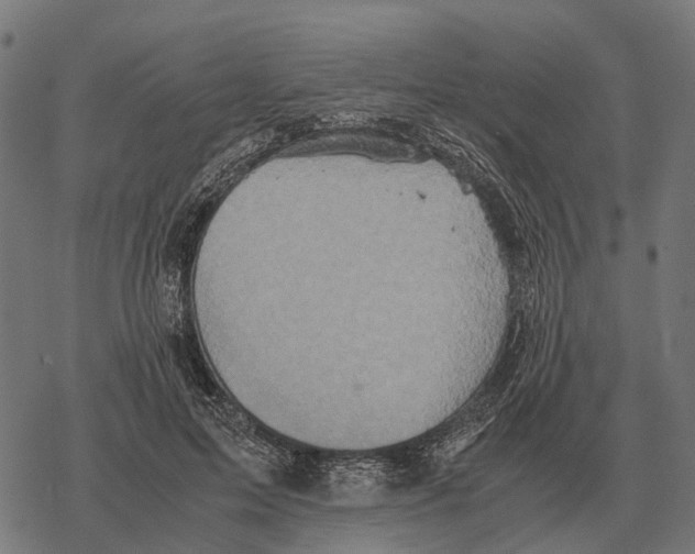 X0000067890599200605111853