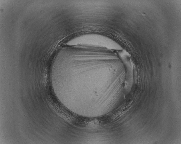 X0000067890600200605111853