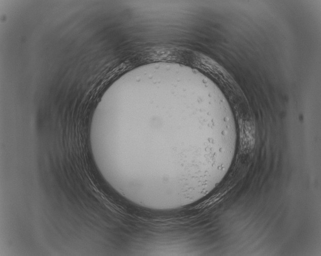 X0000067890602200605111853