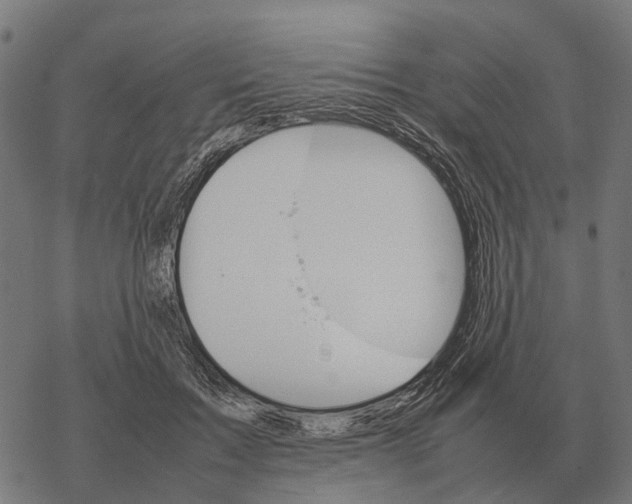 X0000067890603200605111853