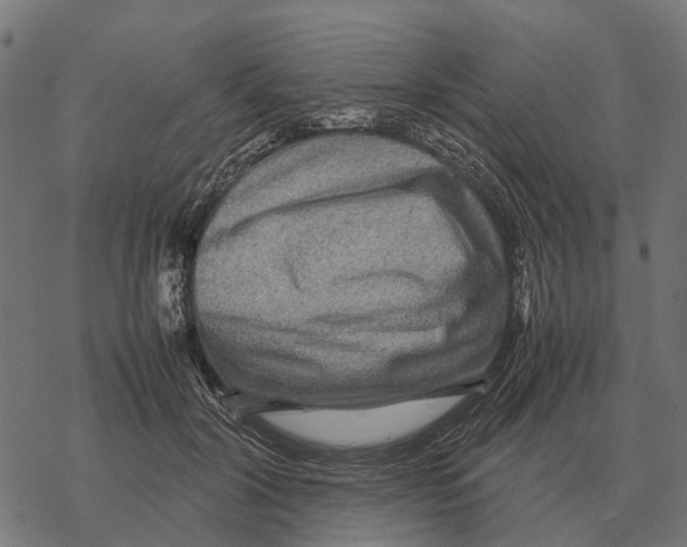 X0000067890604200605111853