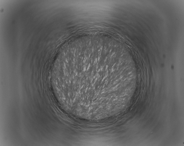 X0000067890605200605111853