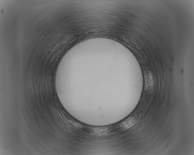 X0000067890606200605111853