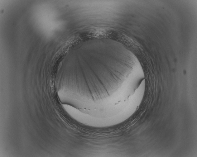 X0000067890607200605111852