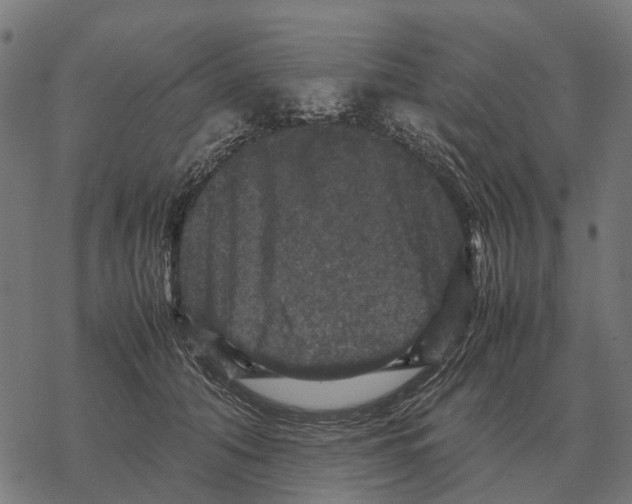 X0000067890608200605111852