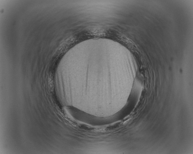 X0000067890609200605111852