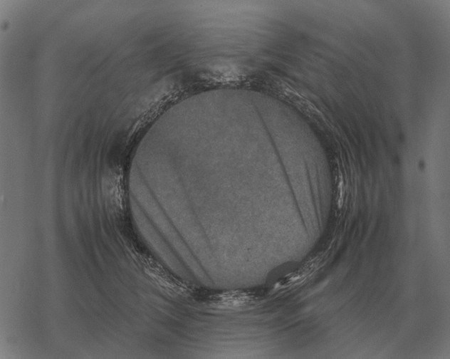 X0000067890612200605111852