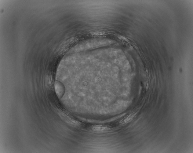 X0000067890614200605111852