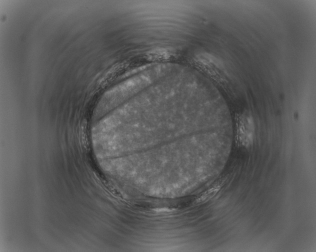 X0000067890616200605111852