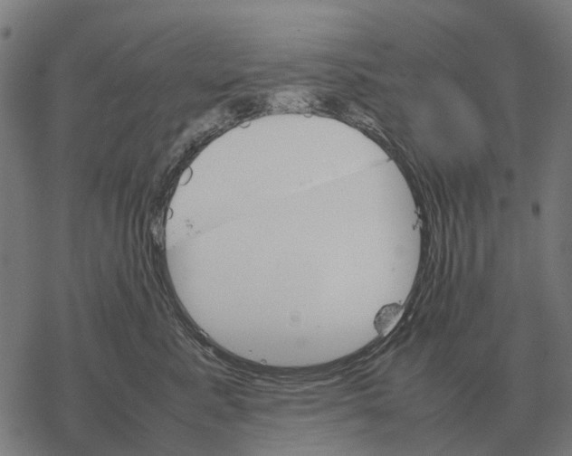 X0000067890619200605111852