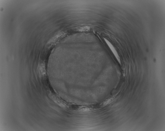 X0000067890620200605111852