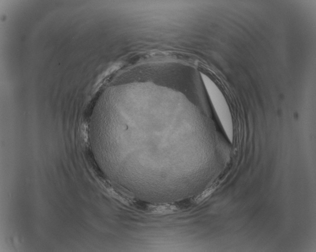 X0000067890621200605111852