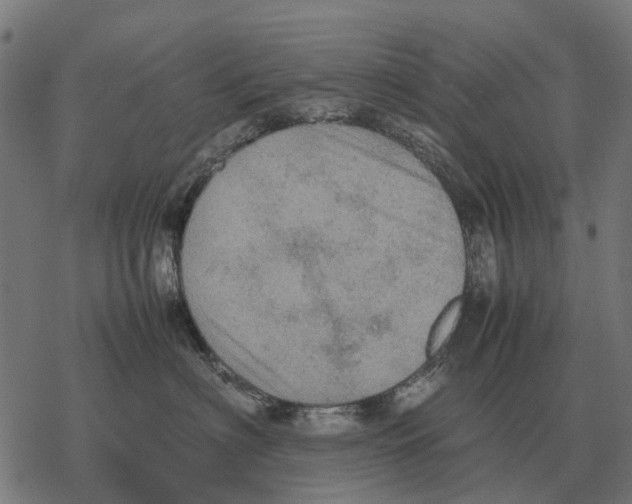 X0000067890622200605111852