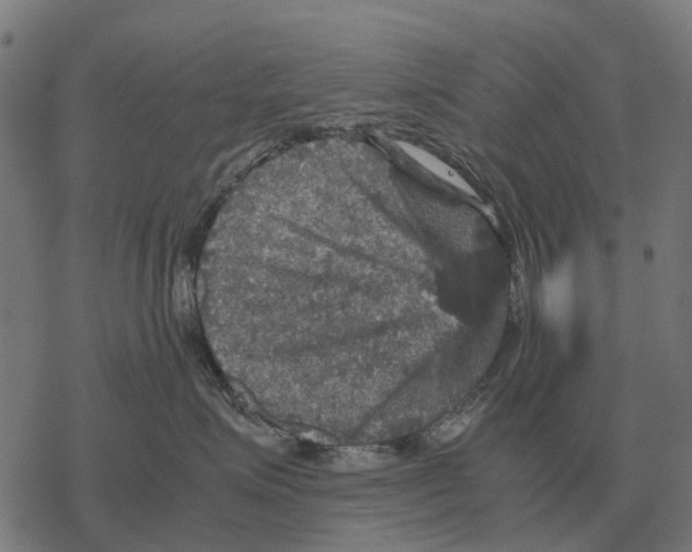 X0000067890623200605111852