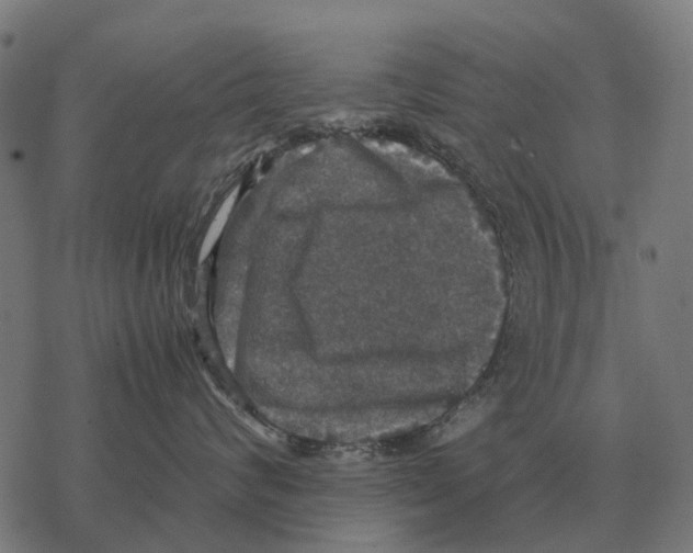 X0000067890624200605111852