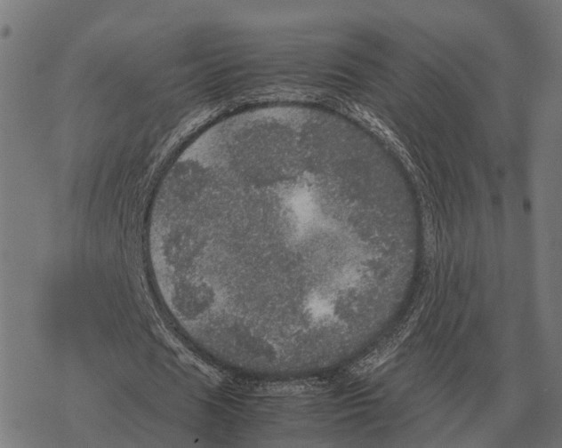 X0000067890625200605111851