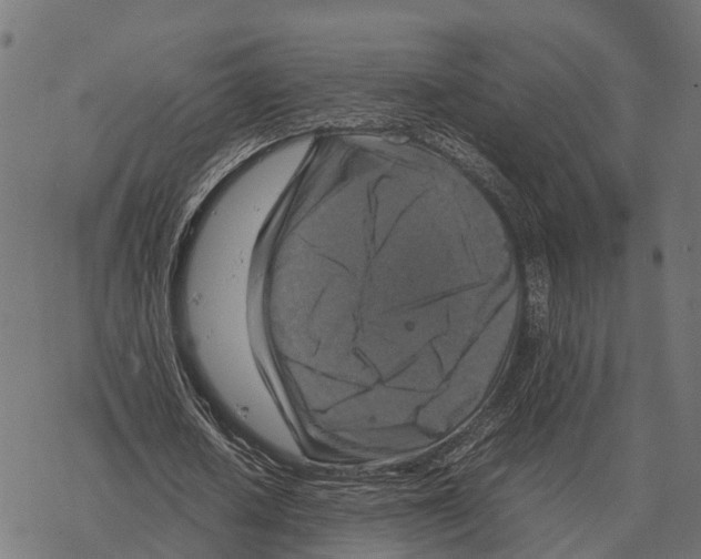 X0000067890626200605111851