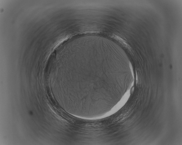 X0000067890627200605111851