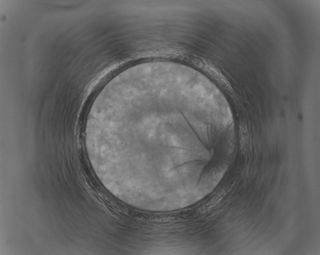 X0000067890628200605111851